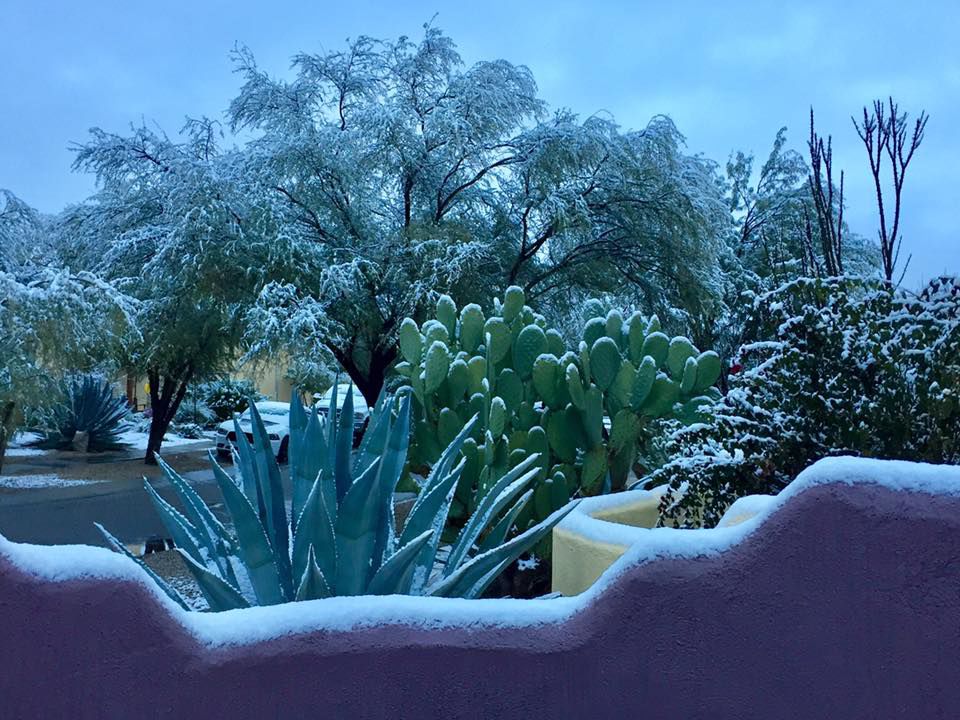 Snow in east ÃÛèÖÖ±²¥